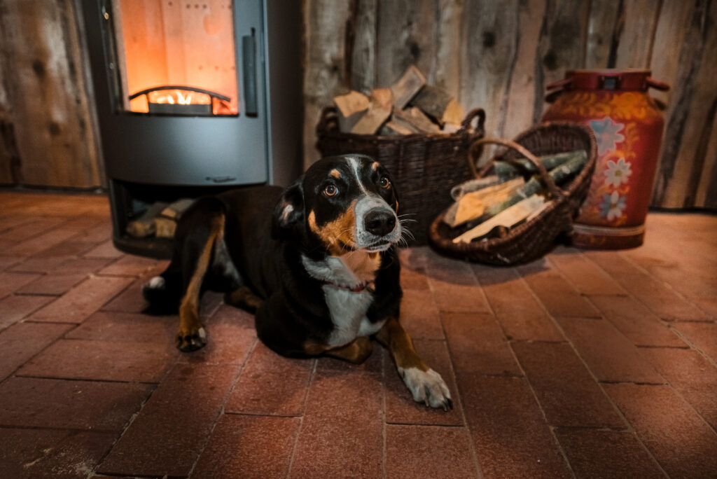 Kamin in der Ferienwohnung